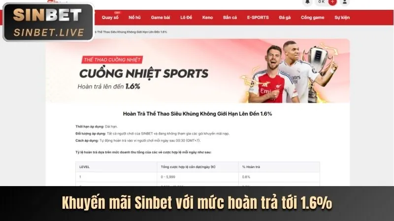 Tổng quan cá cược thể thao tk66.com