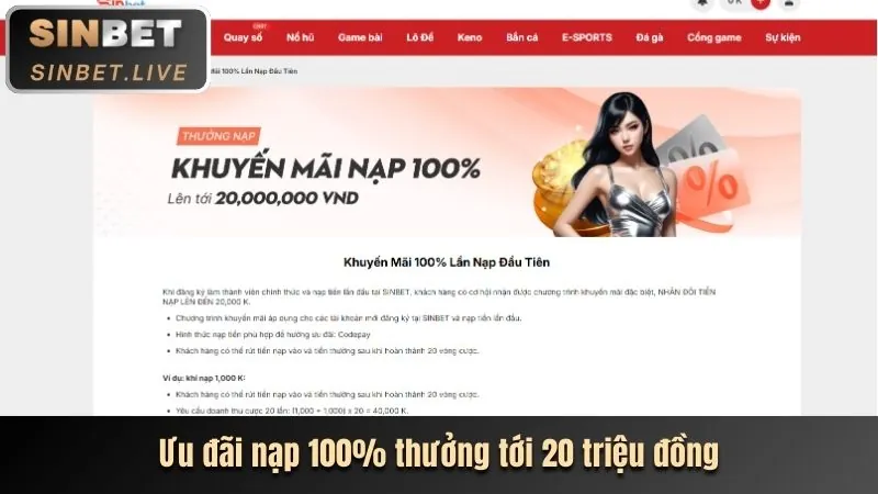 Hoàn trả cược thể thao tk66.com